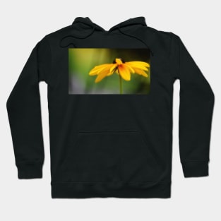 Black Eyed Susan Hoodie